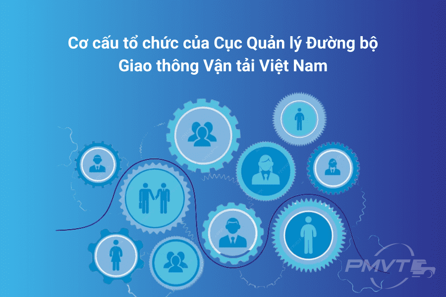 Cơ cấu tổ chức của Cục Quản lý Đường bộ Giao thông Vận tải Việt Nam